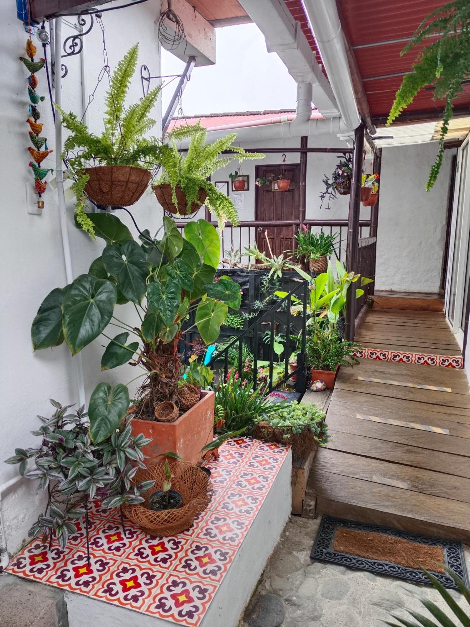 Apartaestudios La Baranda Salento Zewnętrze zdjęcie